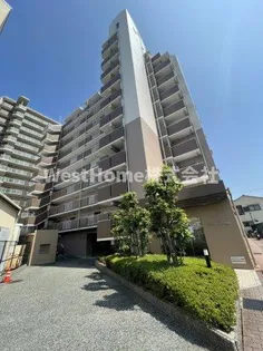 コーシャハイツ瓜破の画像