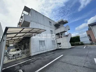 セラフィノIの画像