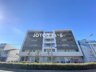 アマントリビエールシギノの画像