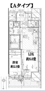Garden Xavis木場【9階】の間取り
