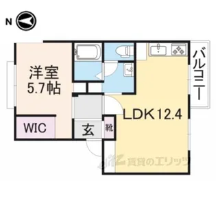 セレーノ雲梯B【2階】の間取り