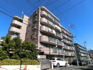 プレミールすみれの画像