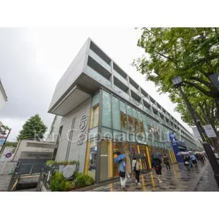 表参道ヒルズゼルコバテラスウエストの画像