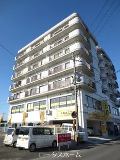 メゾン隼人の画像