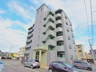 シャトームジカの画像