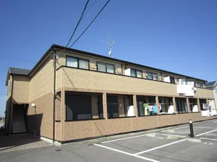 アンプルールリーブルGLANDAの画像