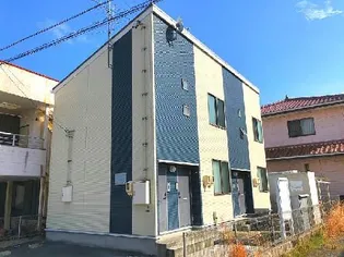 レオネクストラサの画像