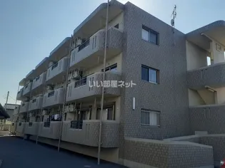 Y&Mイマージュの画像