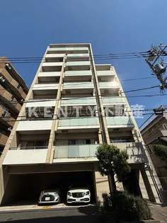 DREAM ATLAS 樹心の画像