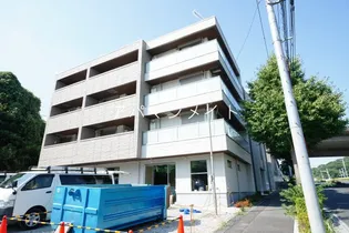 タカミ エムの画像