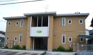 ルピナスの画像