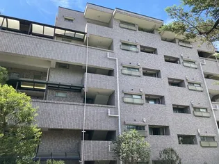 東急ドエル ビアス市が尾B棟の画像