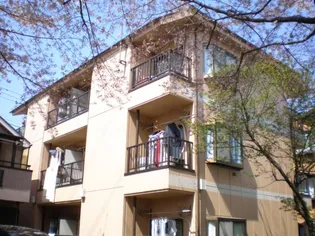 リバーサイドコスモ【3階】の外観