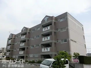 CRYSTAL PALECEの画像