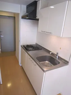 ミテッツァ大森II【4階】のキッチン