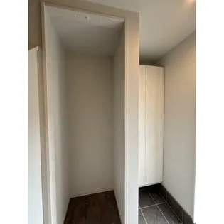 NivIのその他画像