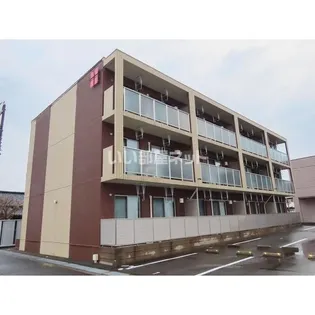 アメージングハートの画像