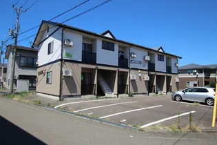 センシブルYの画像