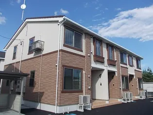 プラシードAの画像