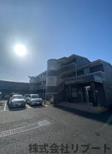 グレイスさつきの画像