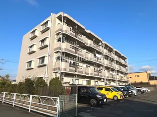 メゾングラシアの画像