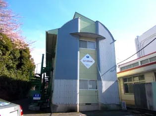 ステイ白梅の画像