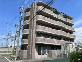 FILL SHINE フィル シャインの画像