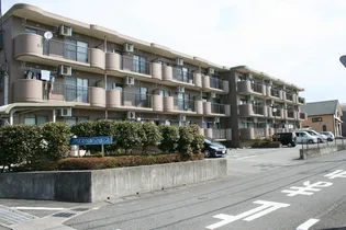 グレイス宮原の画像