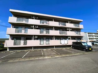 ルアナ・エステート正手【3階】の外観