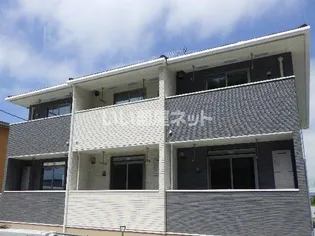 プラシード セブン Cの画像