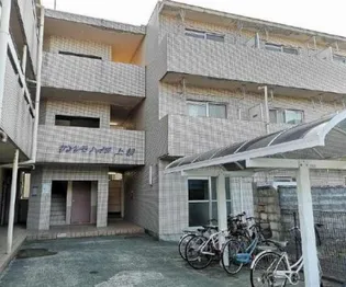 サンレモハイツ上杉【3階】の外観