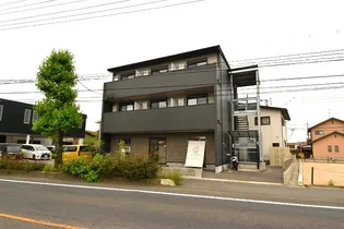 STELLA BASEの画像