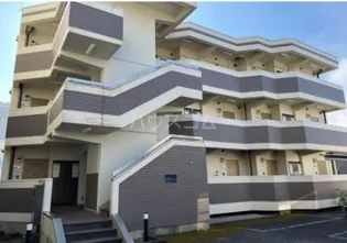 レチナ ミヤハラの画像