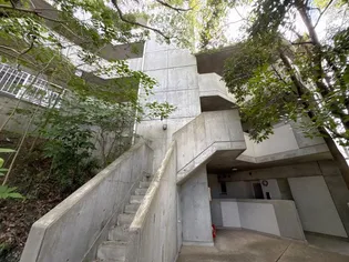 欅コートの画像