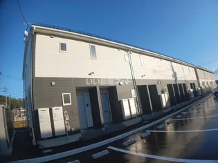 PIERRE HOMMEIIIの画像