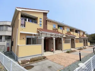 ハイシード平和の画像