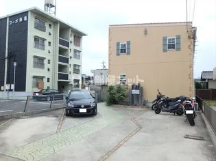 ラ プリマベーラの画像