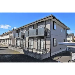 サニーコスモの画像