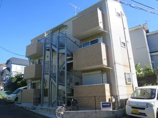 カンパニュラの画像