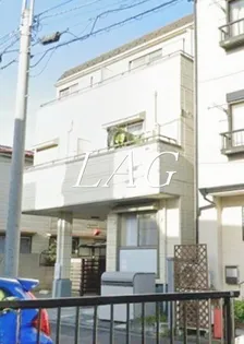 コモドベルツリーの画像