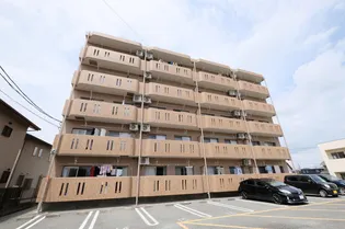 フェリーチェの画像