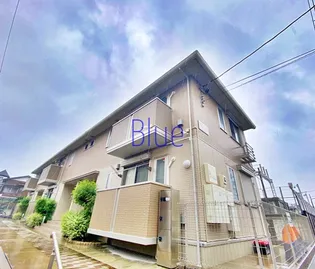 ノア アンの画像