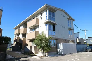 ポンパブランカ10の画像