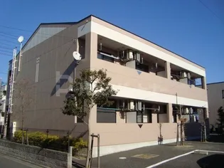 ルミナスワンの画像