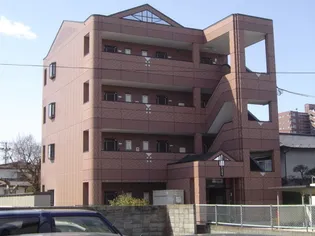 プレジデンス木の実の画像