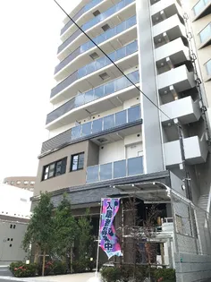 グラウンドツリーの画像