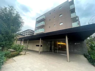 シャリエ朝霞の画像