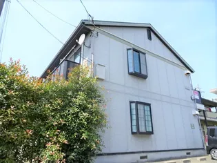 シャンテKの画像