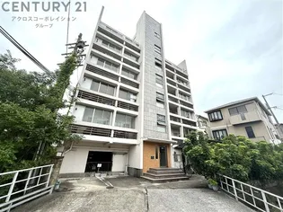 リアライズ甲子園の画像