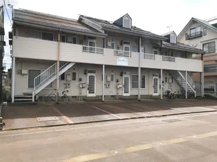 サングリーンの画像